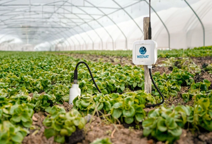 Sonde fertirrigation