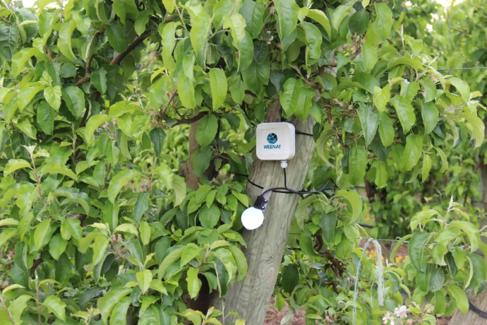 Capteur d'humectation foliaire