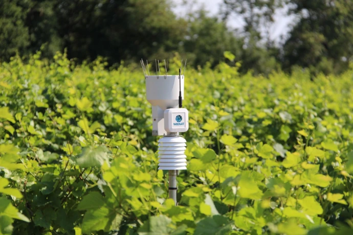 Station météo Weenat